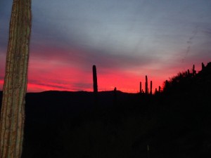 Arizona Trail Tag 9